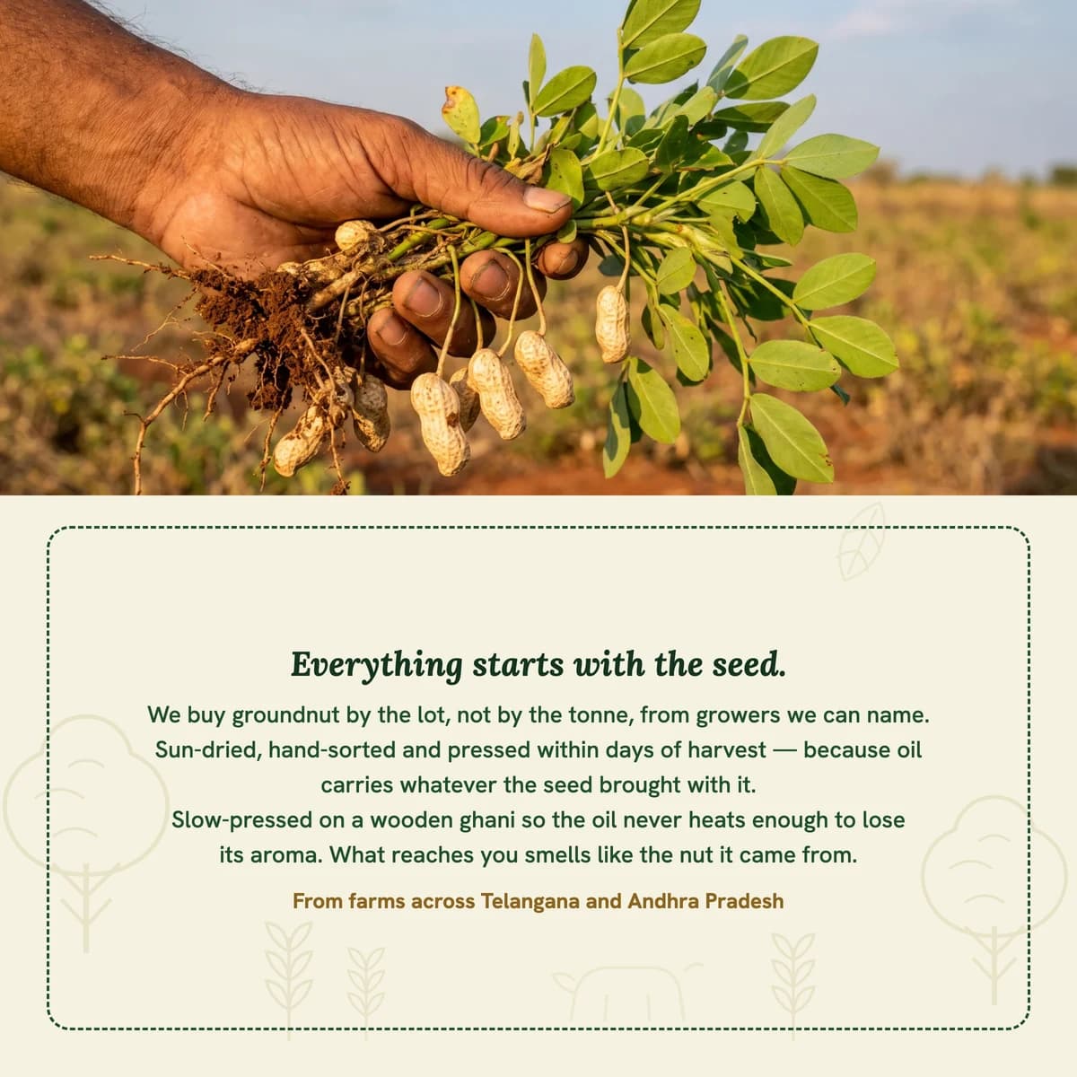 Groundnut Cold-Pressed Oil · Where it comes from