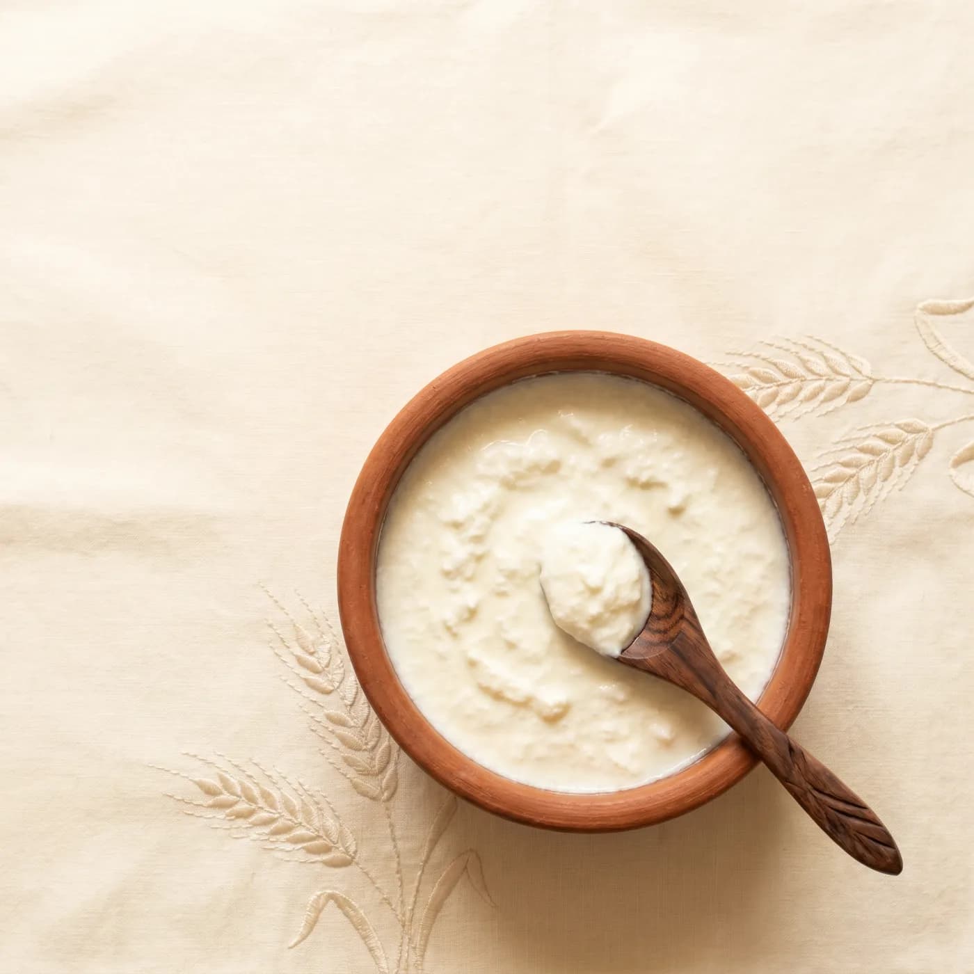 Cultured curd for bilona ghee