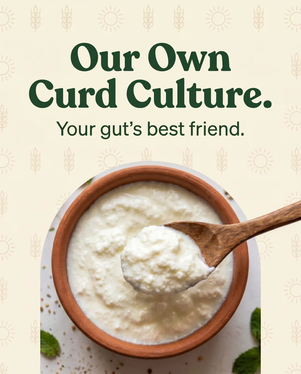 Our own curd culture · your gut's best friend