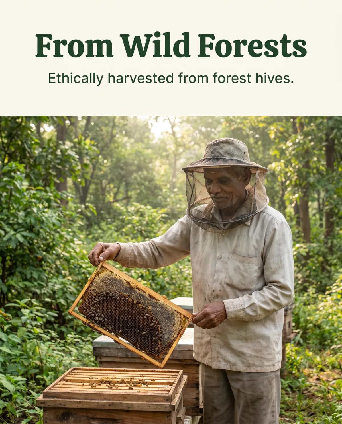 Forest-sourced honey